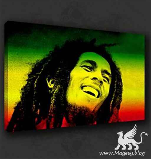 Modern Roots Reggae XXL KONTAKT-MaGeSY-MaGeSY