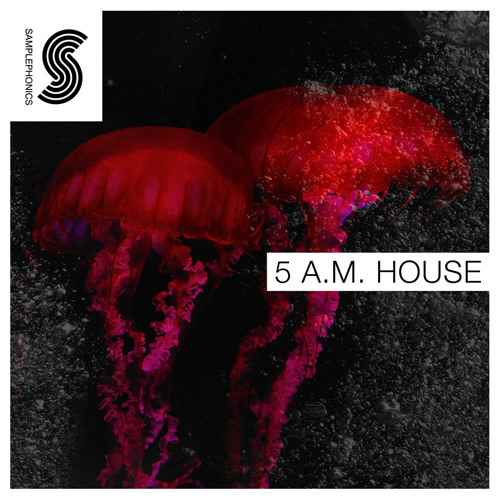 5 A.M. House MULTIFORMAT-Quakeaudio