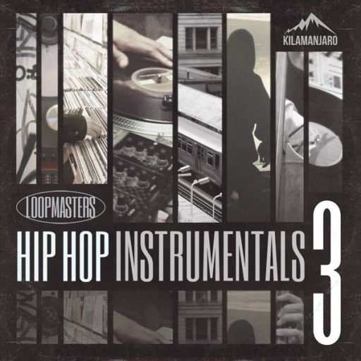 Hip Hop Instrumentals Vol.3 MULTiFORMAT-PiRAT