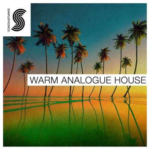 Warm Analogue House MULTiFORMAT-DiSCOVER