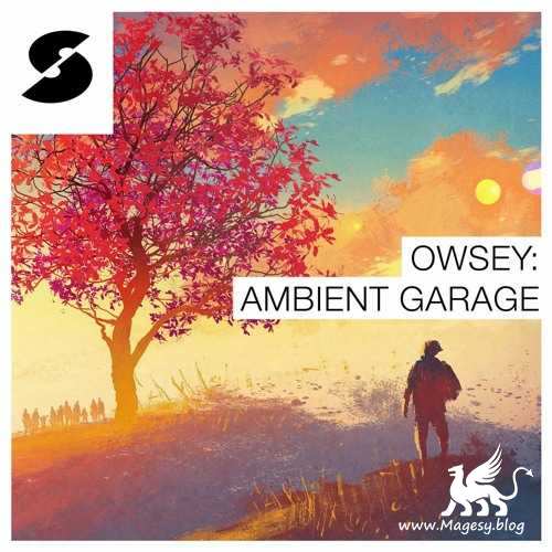 Owsey: Ambient Garage MULTiFORMAT-FANTASTiC