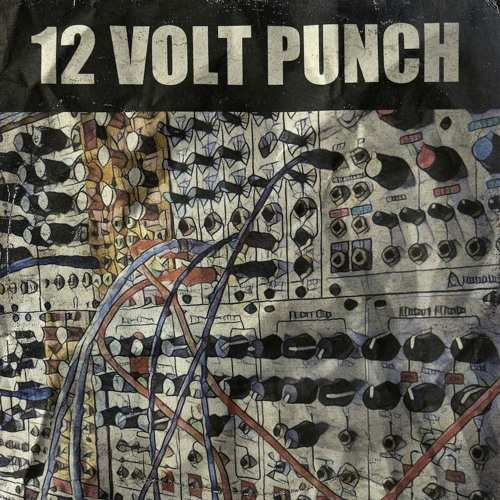 12 Volt Punch Modular Drums and FX MULTiFORMAT