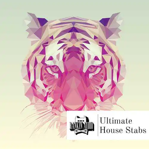 Ultimate House Stabs Wav Magesy