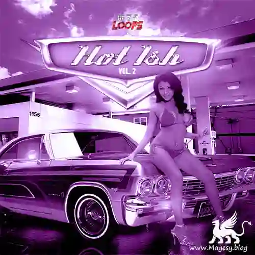 Mvp Loops Hot Ish Vol.2 Acid Wav Midi Discover Magesy