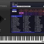 KORG WAVESTATiON v2.4.1 macOS-R2R
