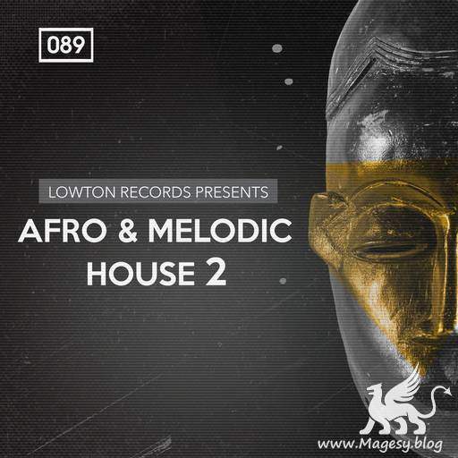 Afro And Melodic House WAV REX2