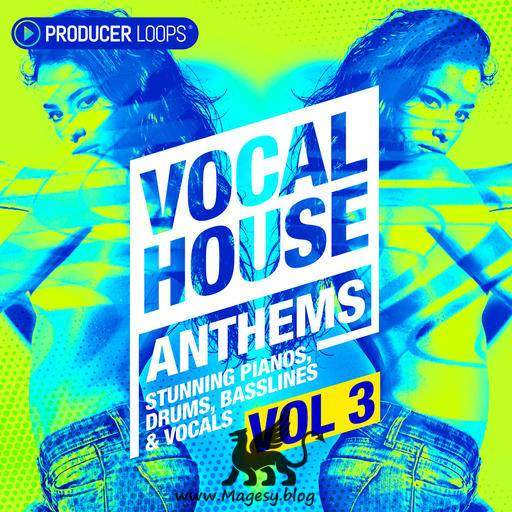 Vocal House Anthems Vol.3 MULTiFORMAT-DECiBEL