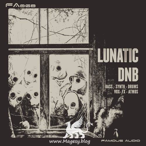 Lunatic DnB WAV