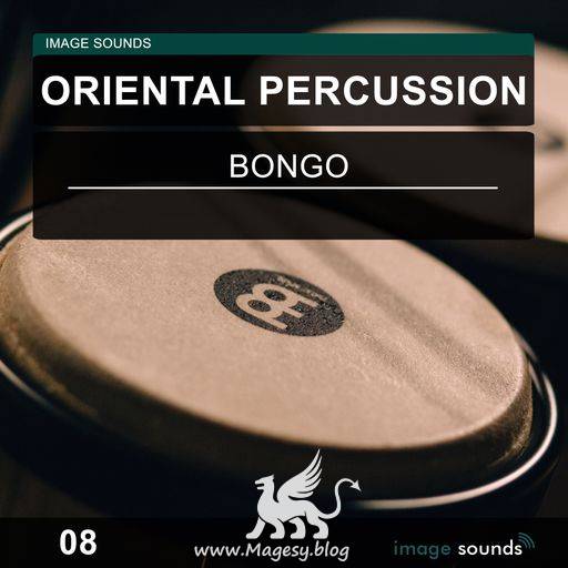 Oriental Percussion 08 WAV