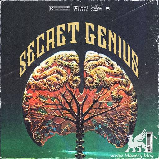 Secret Genius WAV MiDi-FLARE