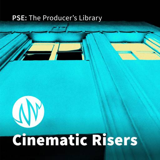 Cinematic Risers FX SAMPLES WAV