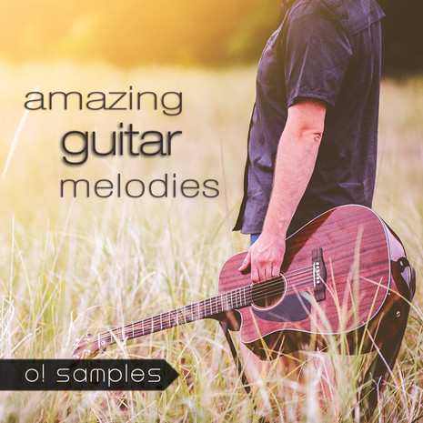 Amazing Guitar Melodies WAV MiDi-TZ Group