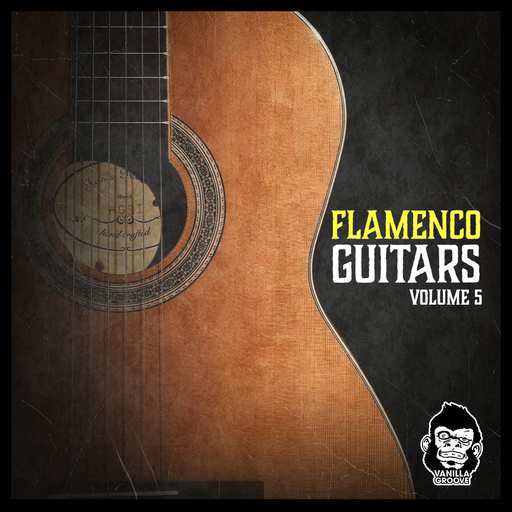 Flamenco Guitars Vol.5 WAV