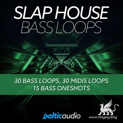 Slap House Bass Loops WAV MiDi-DECiBEL