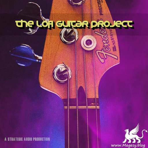 The Lo-Fi Guitar Project WAV MiDi-DISCOVER