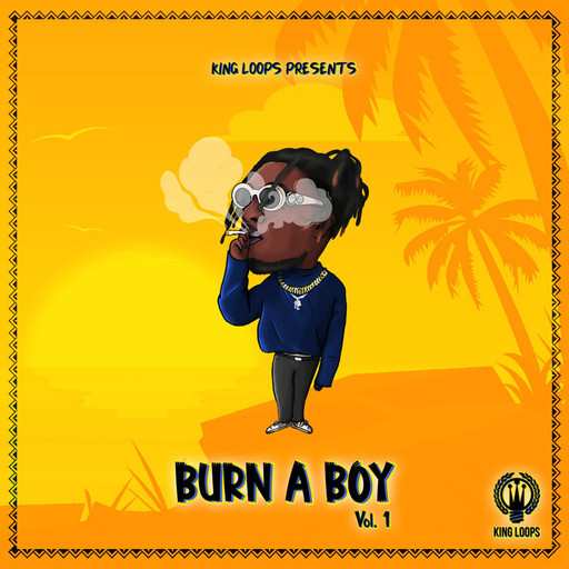 Burn A Boy Vol.1 WAV MiDi-DiSCOVER