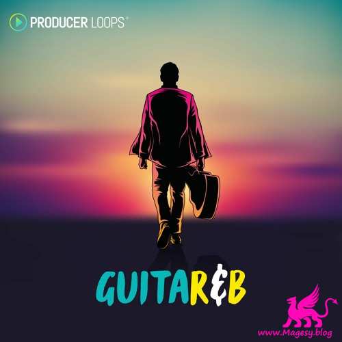 GuitaRnB MULTiFORMAT-DiSCOVER