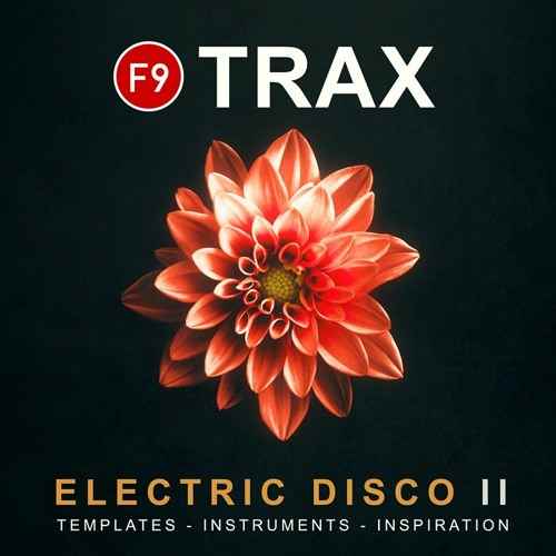 Electric Disco II MULTiFORMAT