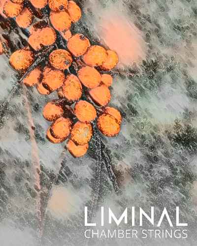 LiMiNAL: Chamber Strings Textures Vol.1 KONTAKT