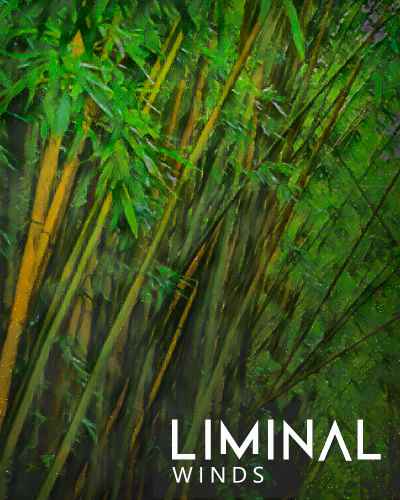 LiMiNAL Winds KONTAKT-MaGeSY