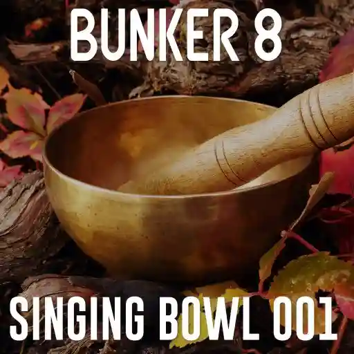 Singing Bowl 001: Percussive Loops WAV-FANTASTiC