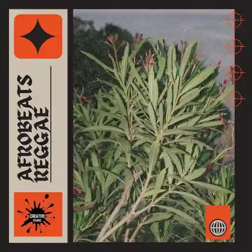 Afrobeats Reggae WAV-FANTASTiC