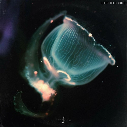 Leftfield Cuts WAV-FANTASTiC