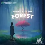 Sounds of the Forest MULTiFORMAT-DECiBEL