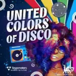 United Colors Of Disco MULTiFORMAT-FANTASTiC