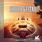 Dobro Guitar WAV-DECiBEL