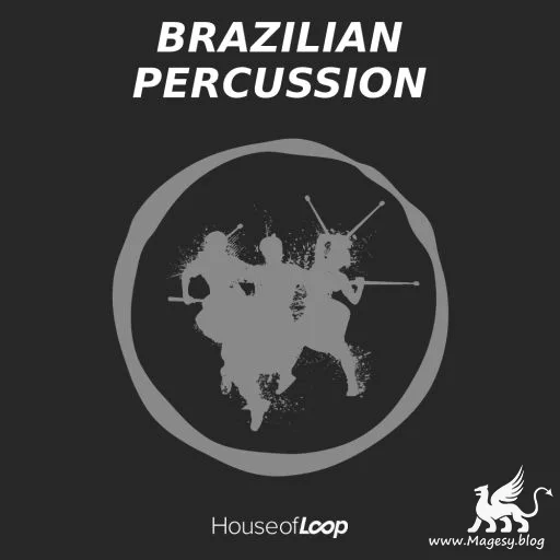 Hol Brazilian Percussion Wav Magesy