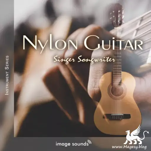 Nylon Guitar Singer Songwriter 1 Wav Decibel Magesy