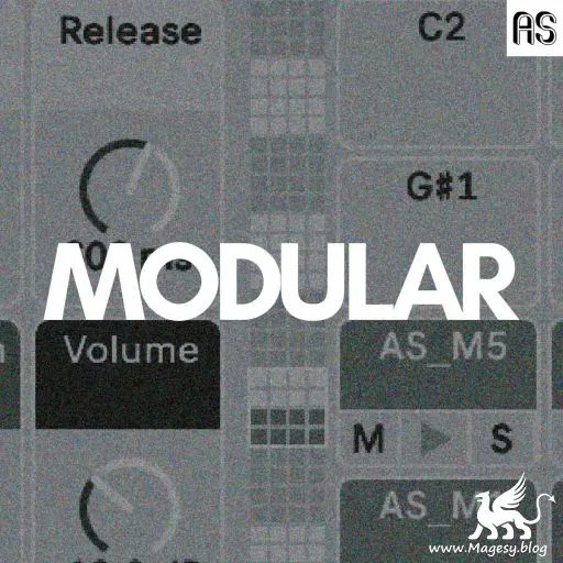 A.S Modular ALP-MaGeSY