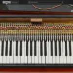 Pianet-T v1.0.1 ARM ONLY macOS-MORiA