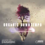 Organic Downtempo WAV-FANTASTiC