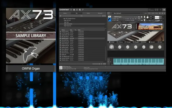 Video preview